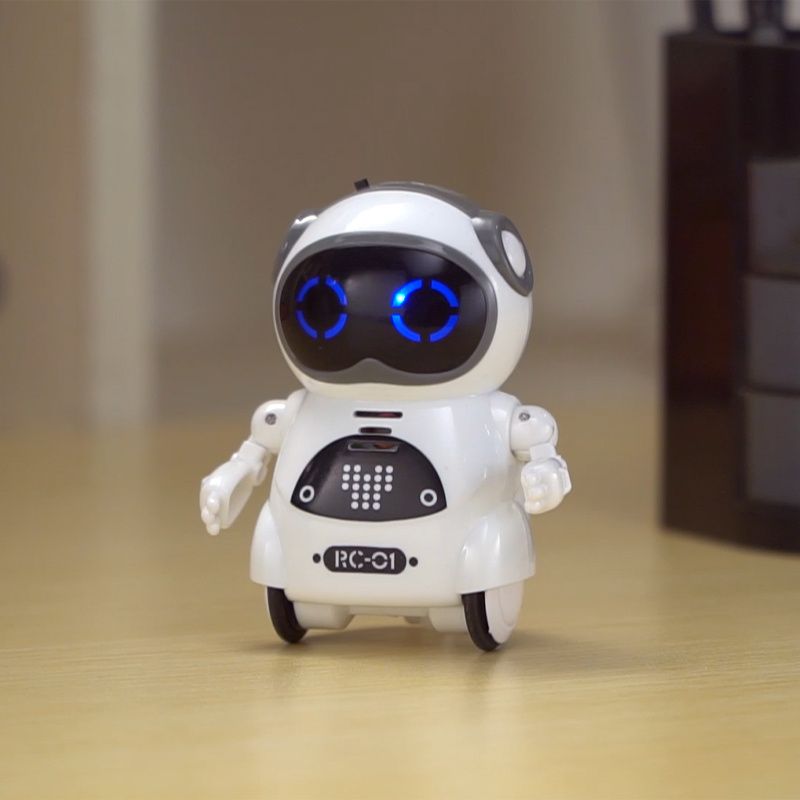 Pocket RC Robot