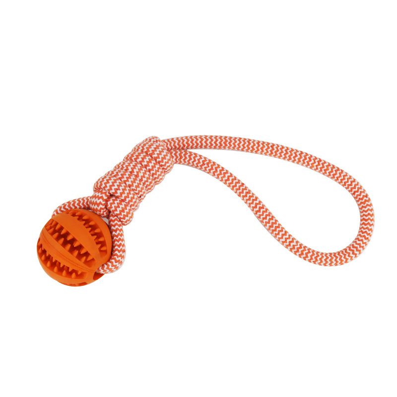 Dog Toys Treat Balls