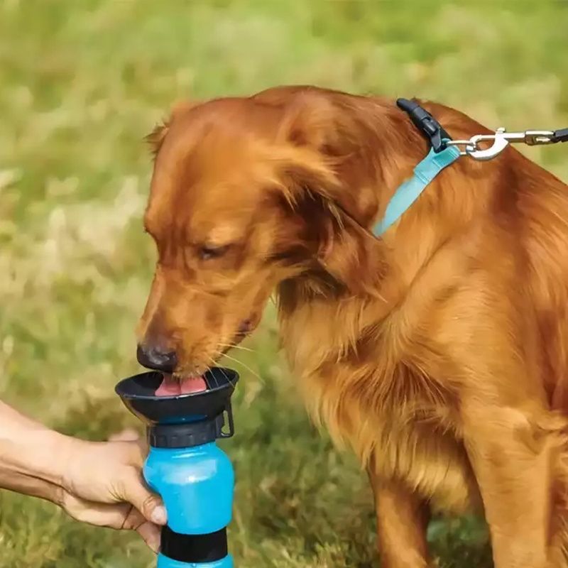 Dog & Cat Water Bottle Mug