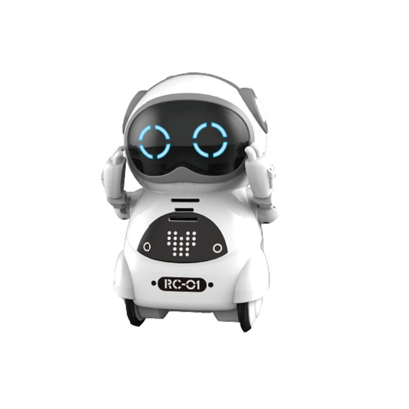 Pocket RC Robot