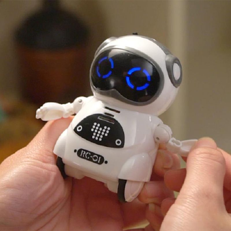 Pocket RC Robot