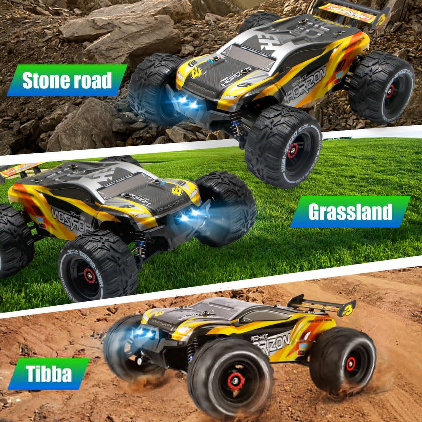 Large RC Car