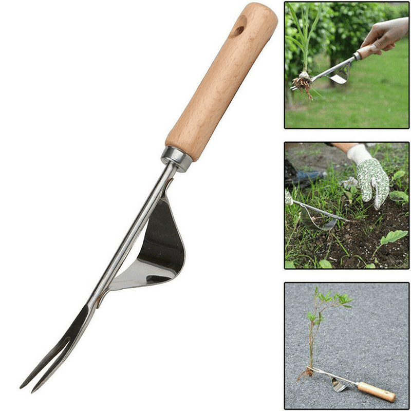 Garden Weed Removal