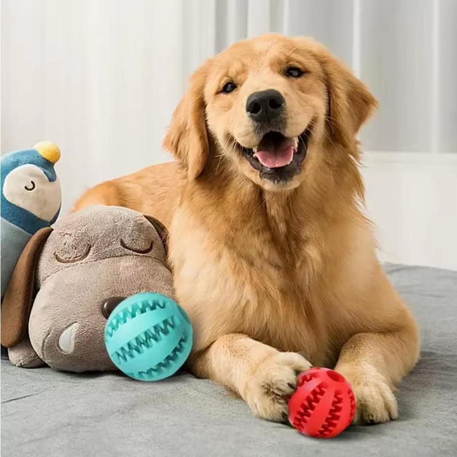 Dog Toys Treat Balls