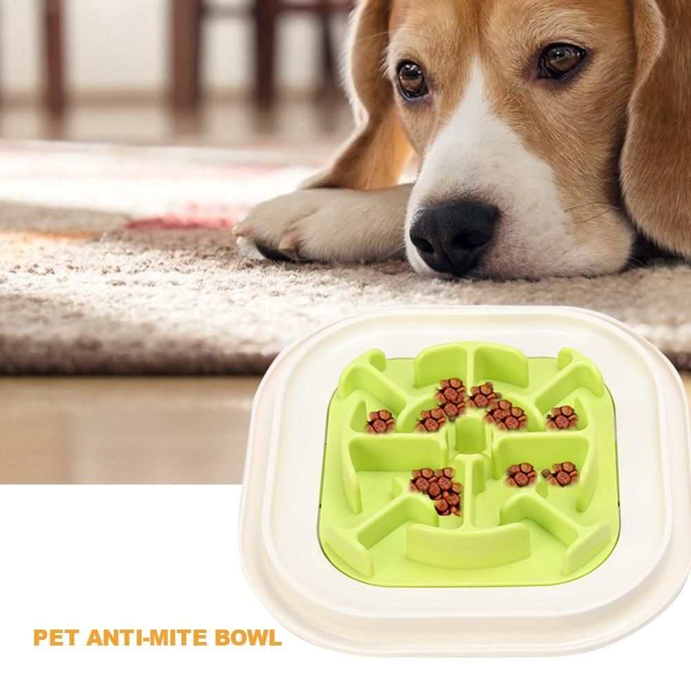 Creative Dog / Cat Feeders