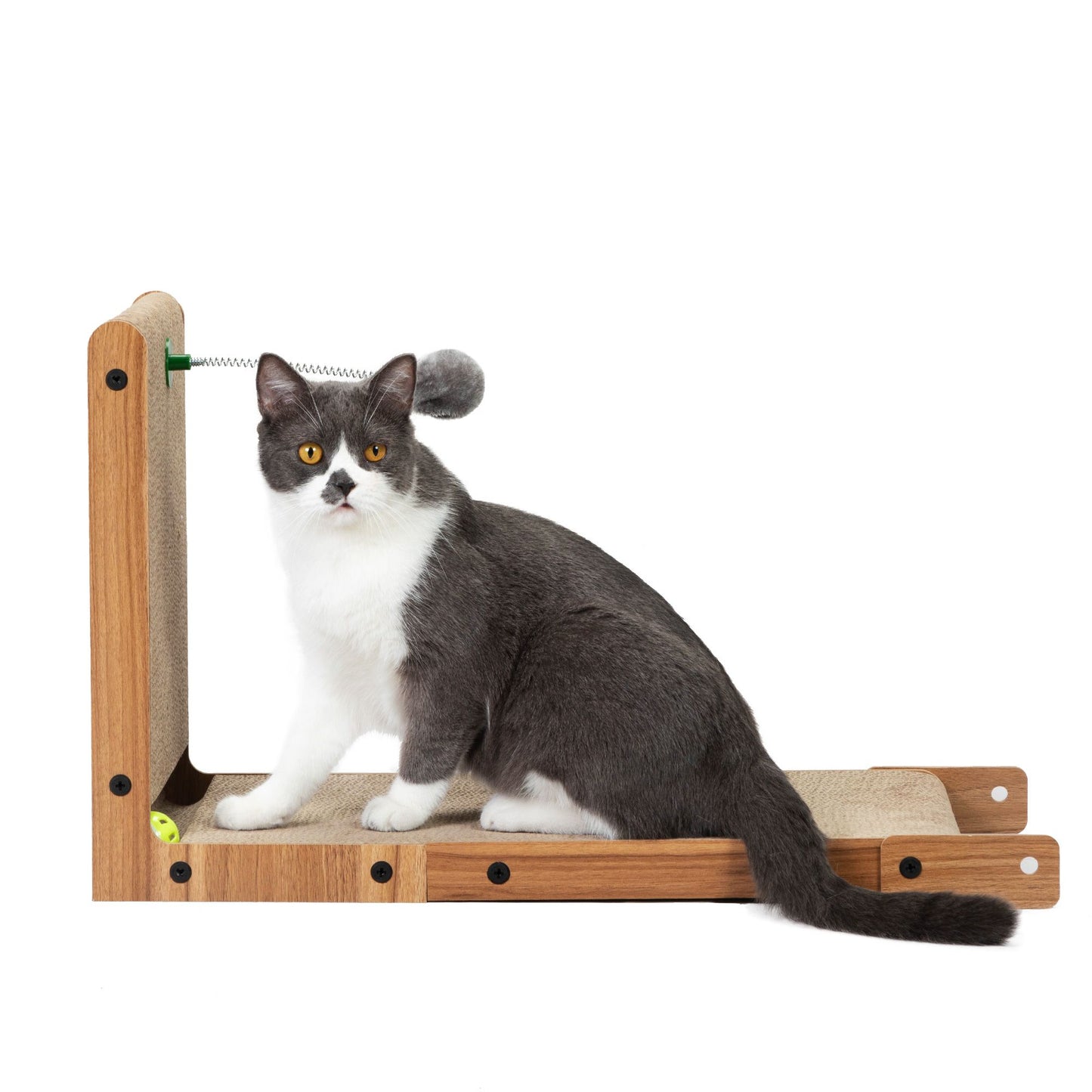 Indoor Cat Scratching Board